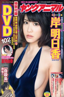 大秦帝国之纵横在线观看